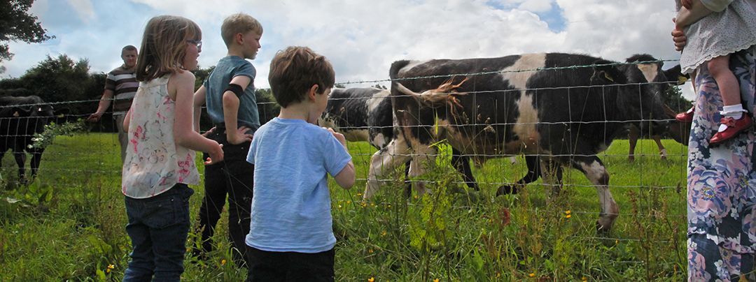 Children watching cows on the fields in Kittisford